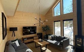 Mysig Fjaellstuga I Saelen